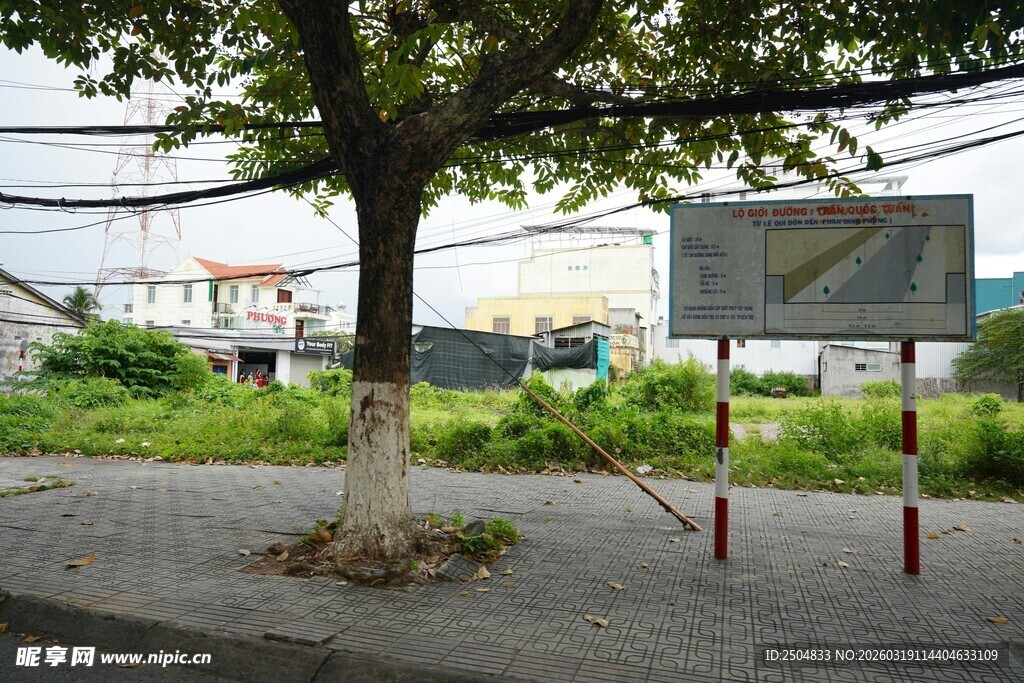 街边树木旁的指示标志牌