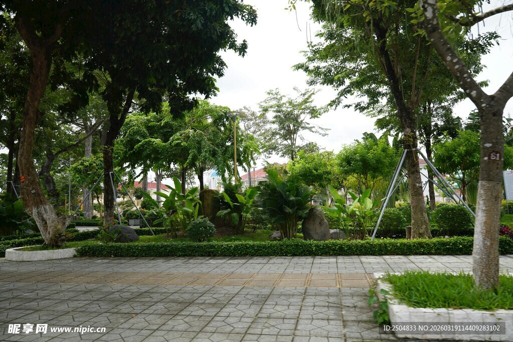 宁静的林间庭院景观