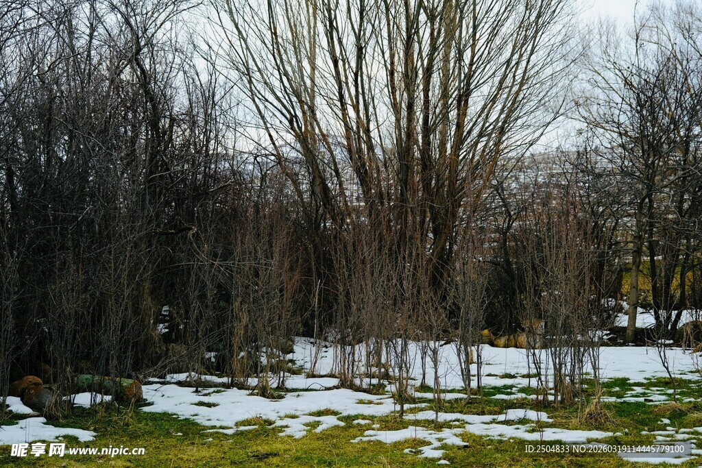 冬日林间残雪景色