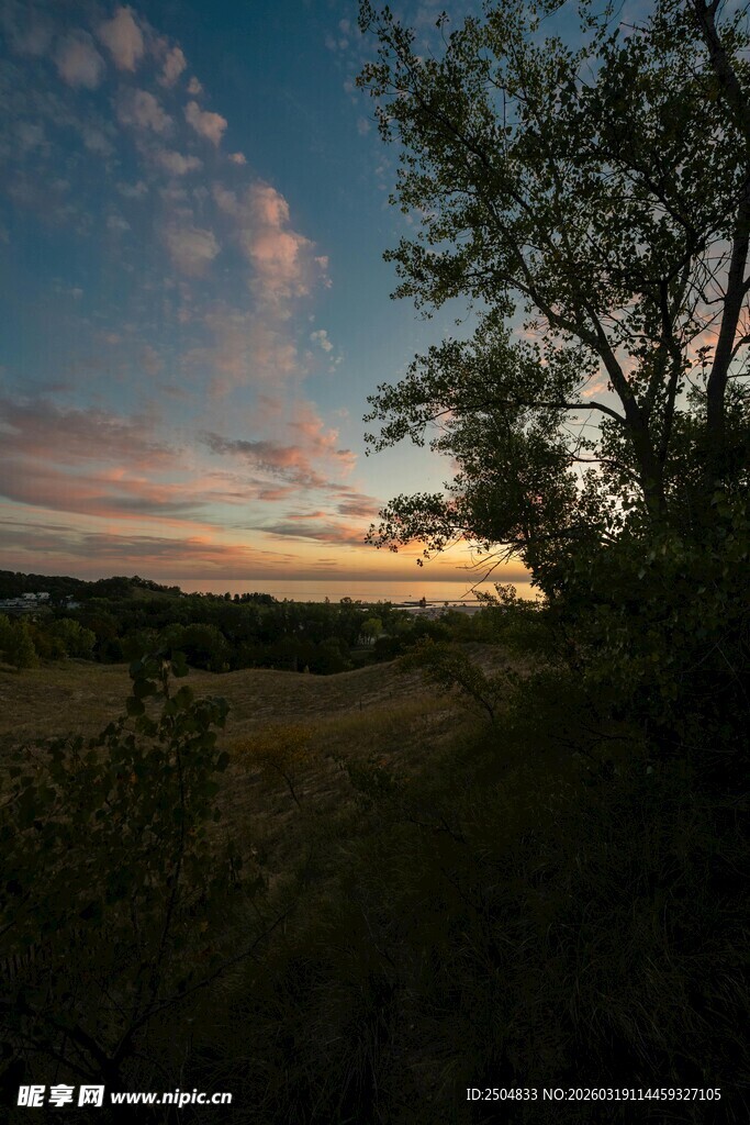 黄昏下的树林与梦幻天空