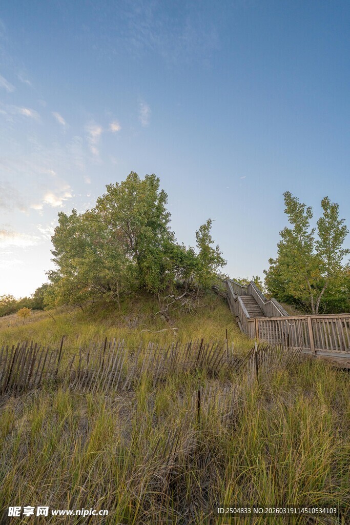 草原上的树木与蓝天风景