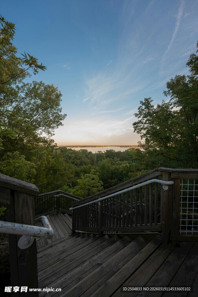 林间木栈道 自然风光如画