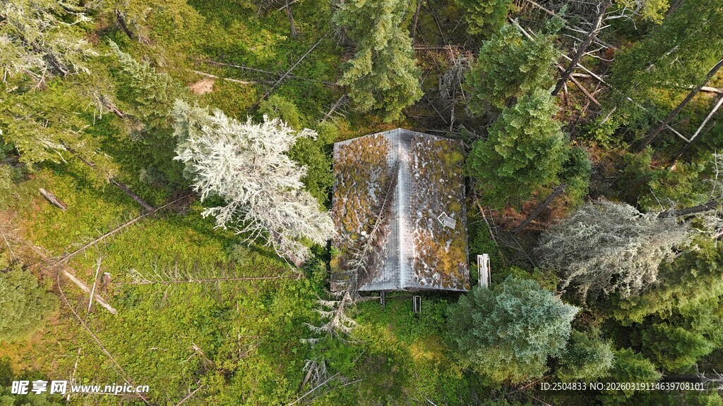 森林中的隐秘瀑布景观