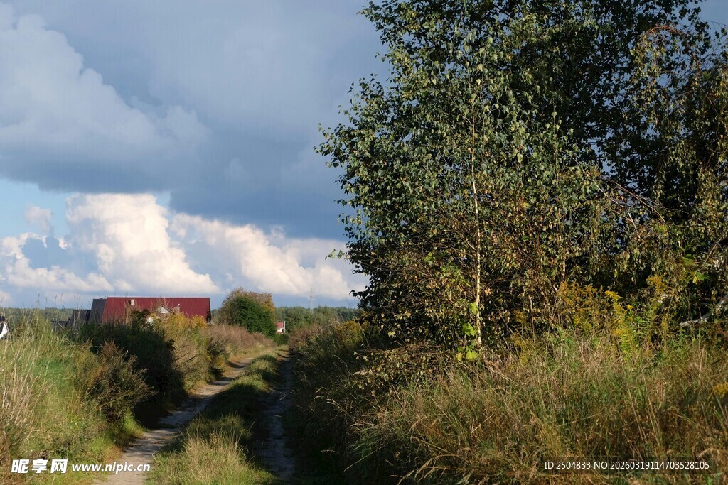 乡村田野间的宁静小路