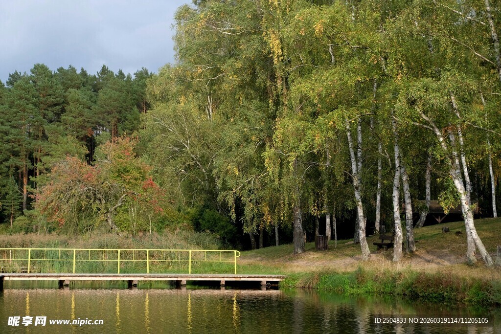 湖畔树林中的木质观景台