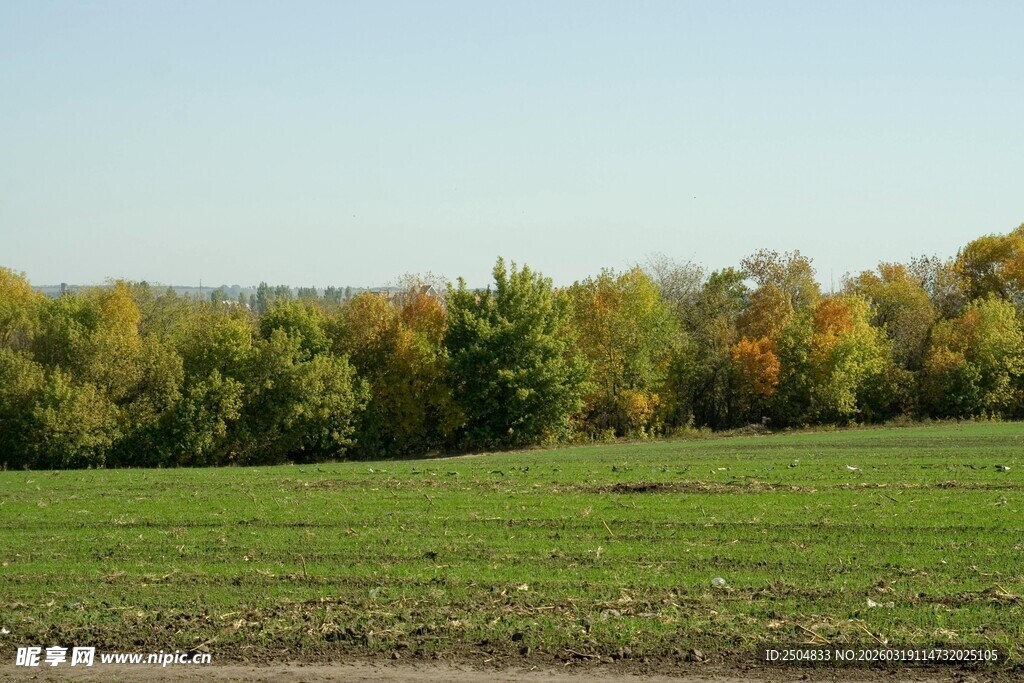 秋日绿野与彩色树林