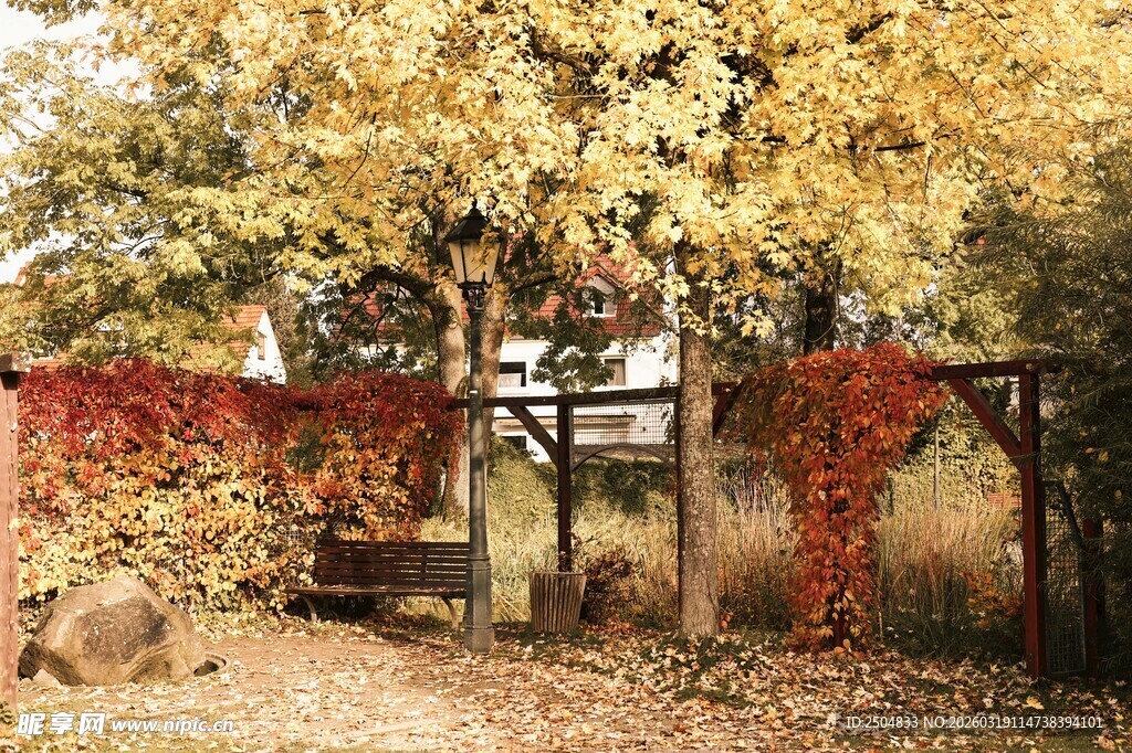 秋日庭院中的古朴景致