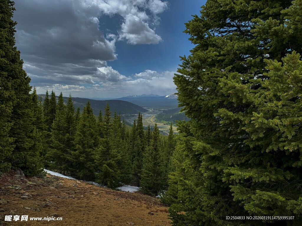 山林间的开阔景致