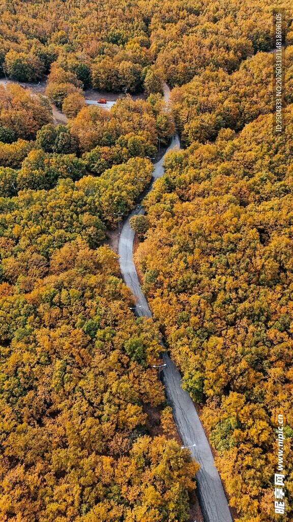 秋日蜿蜒公路穿行斑斓山林