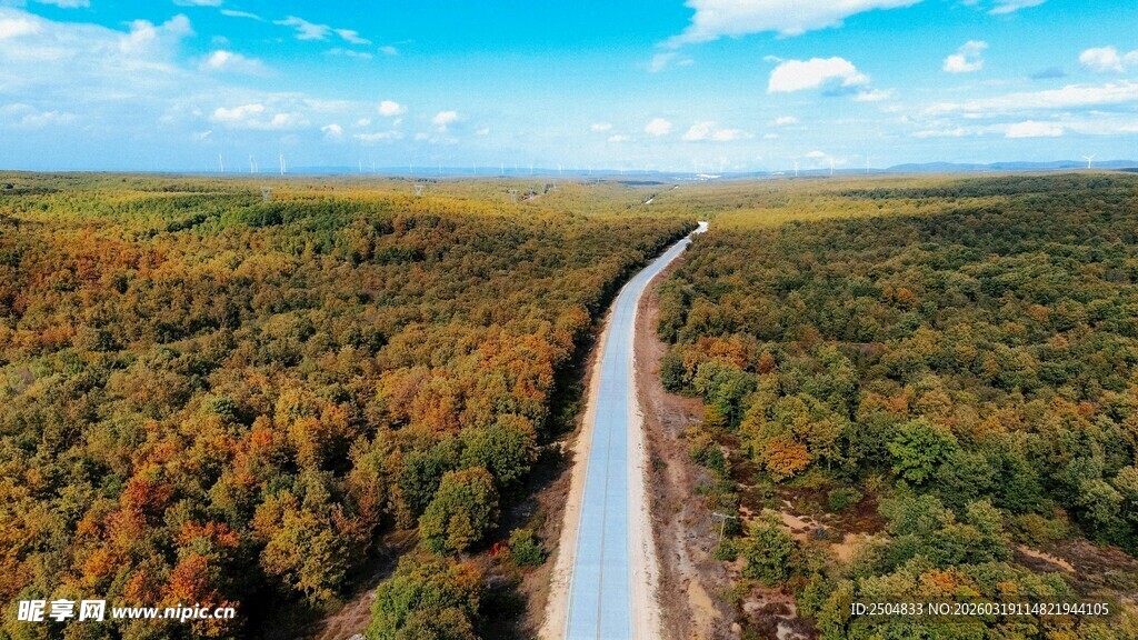 蜿蜒公路穿行多彩山林
