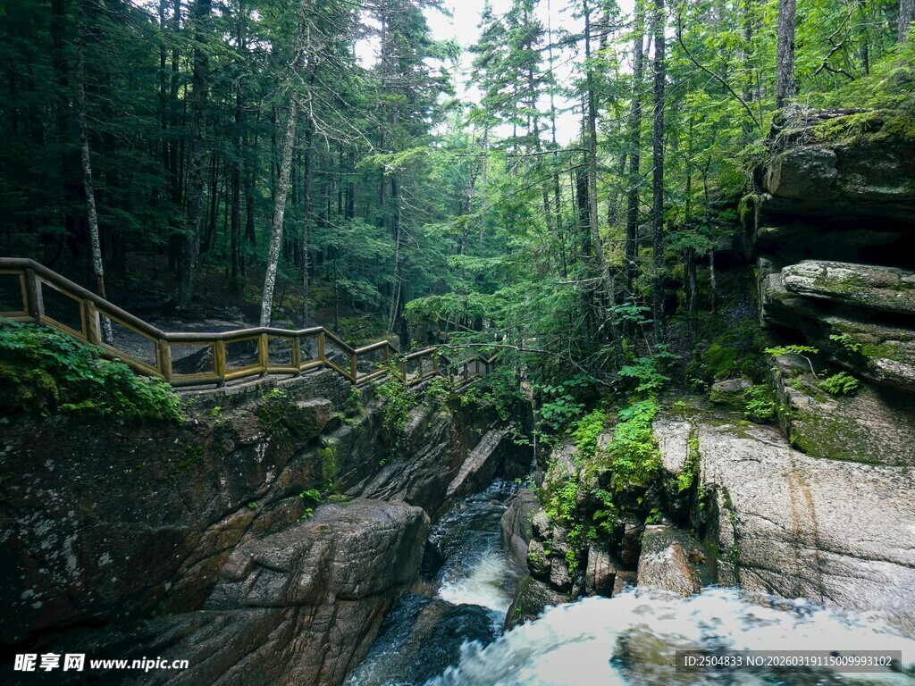 山林间的溪流与茂密植被