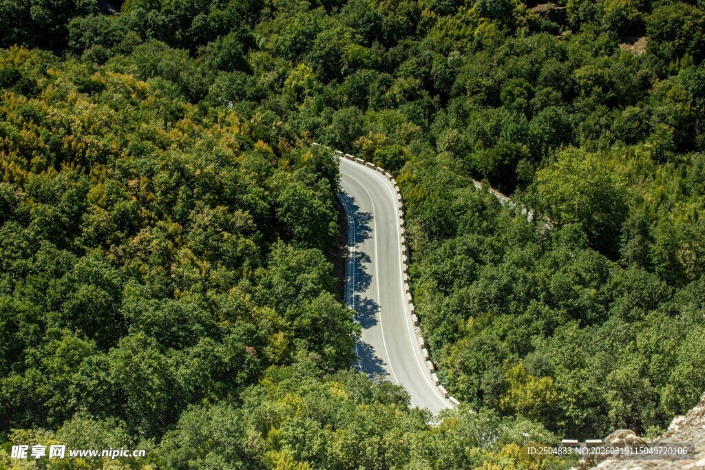 蜿蜒山路穿行于葱郁山林