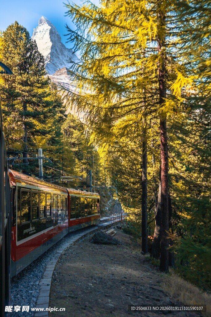 山间列车穿行于金黄树林