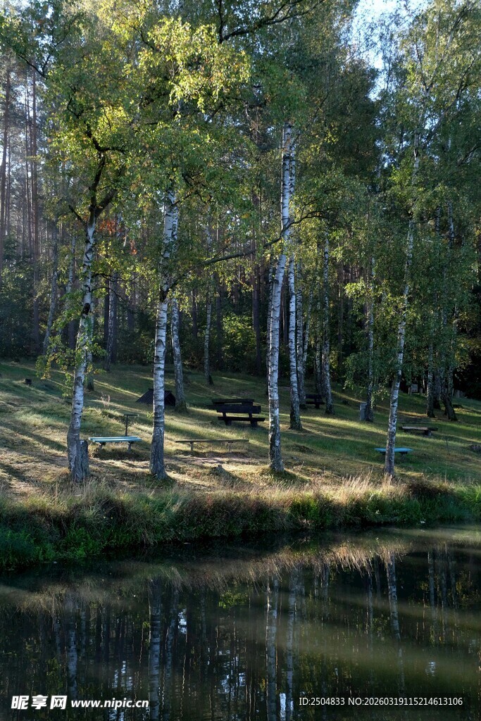 林间湖畔风景