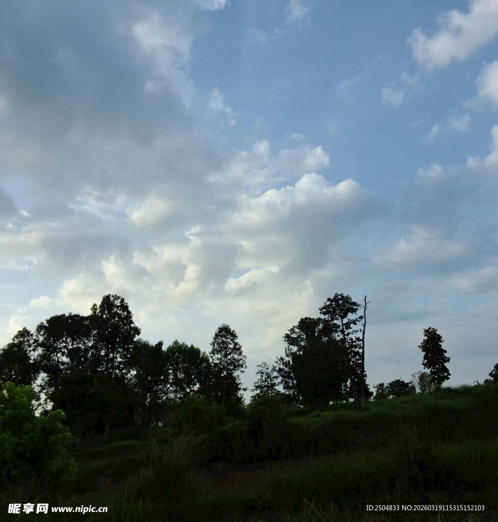 蓝天绿树的自然风光