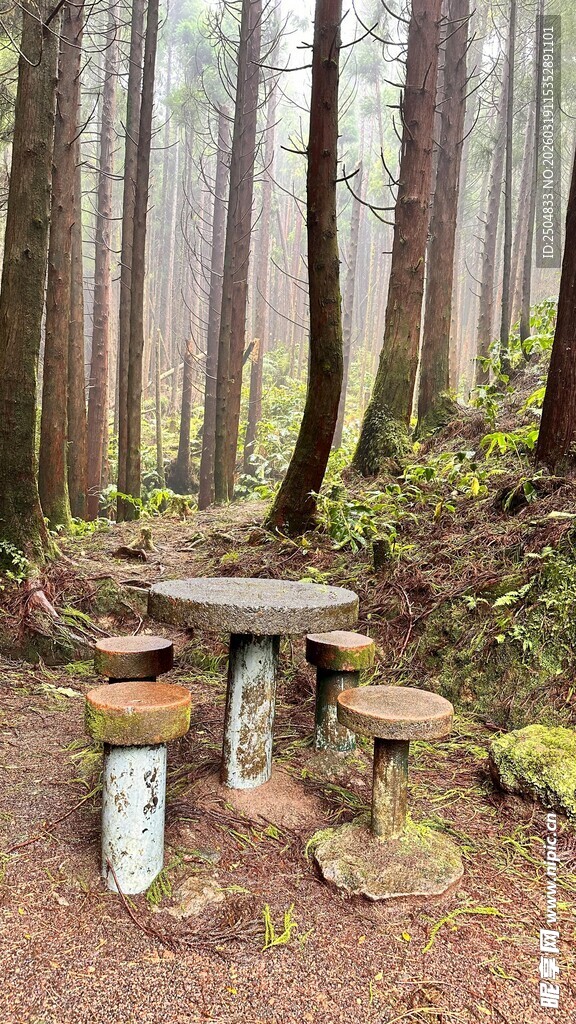 森林中的简易木质野餐桌