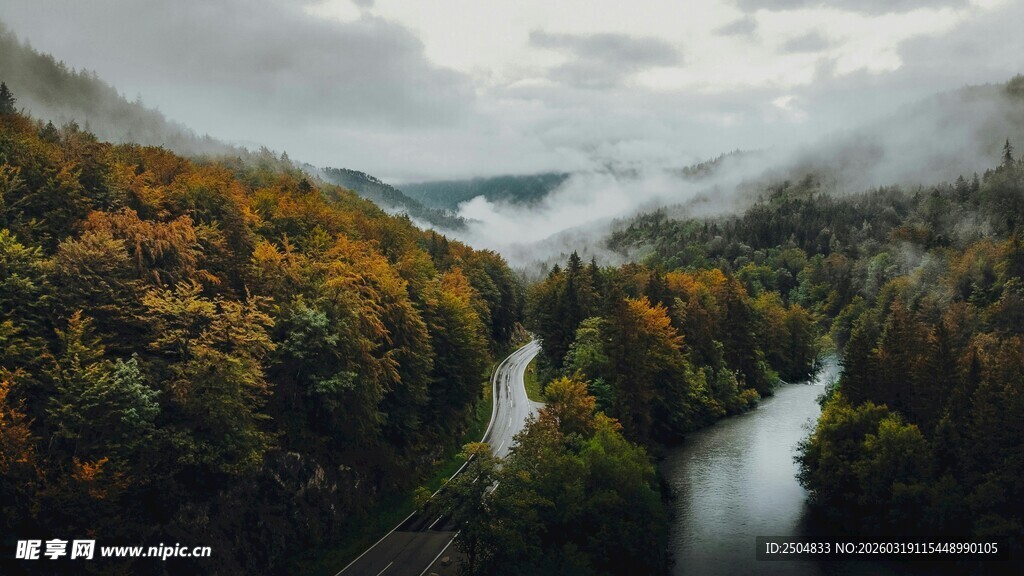 山间秋景 溪流穿林而过