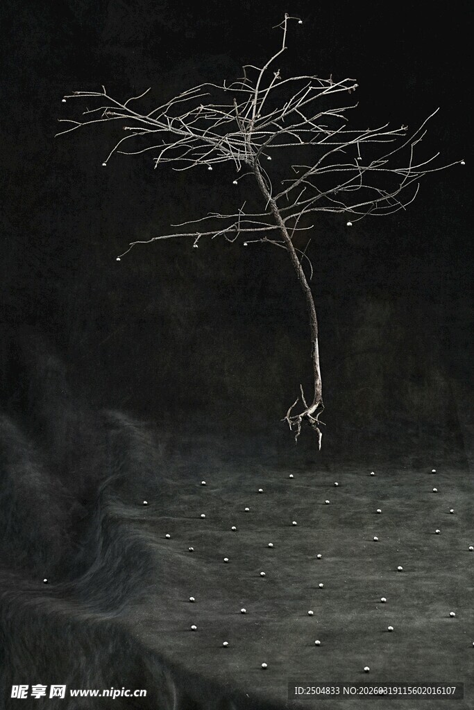 黑暗中孤独的枯树