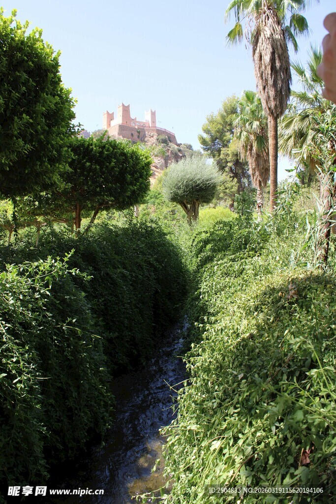 绿意盎然的花园小径