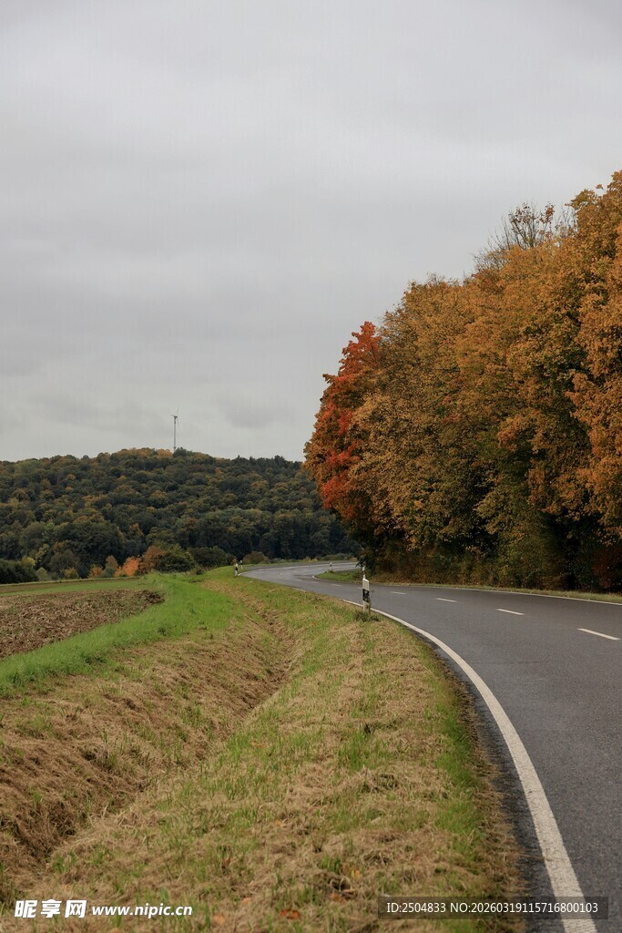 秋日蜿蜒公路美景