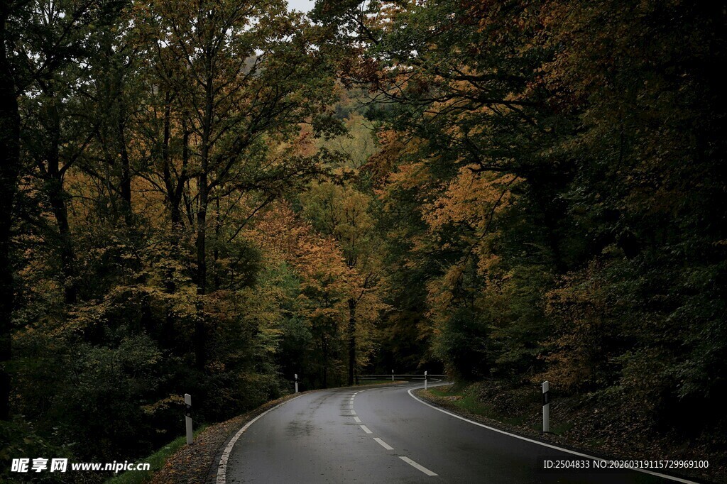 秋日林间蜿蜒公路