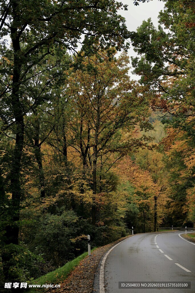 秋日林间蜿蜒公路