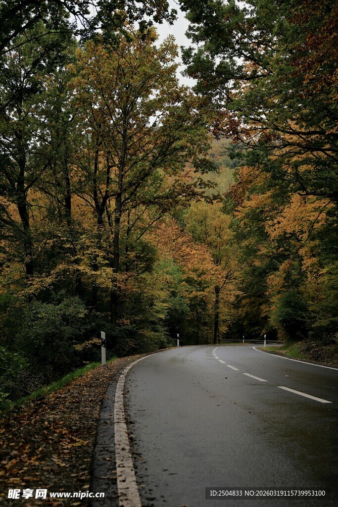 秋日蜿蜒林间公路