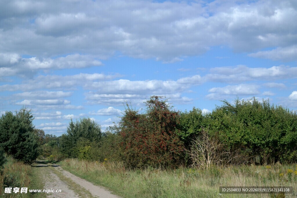 乡间土路 蓝天白云绿树