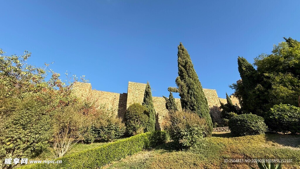 阳光下的园林景观