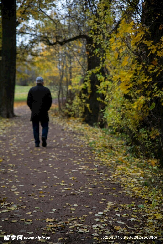 漫步秋日林间小道