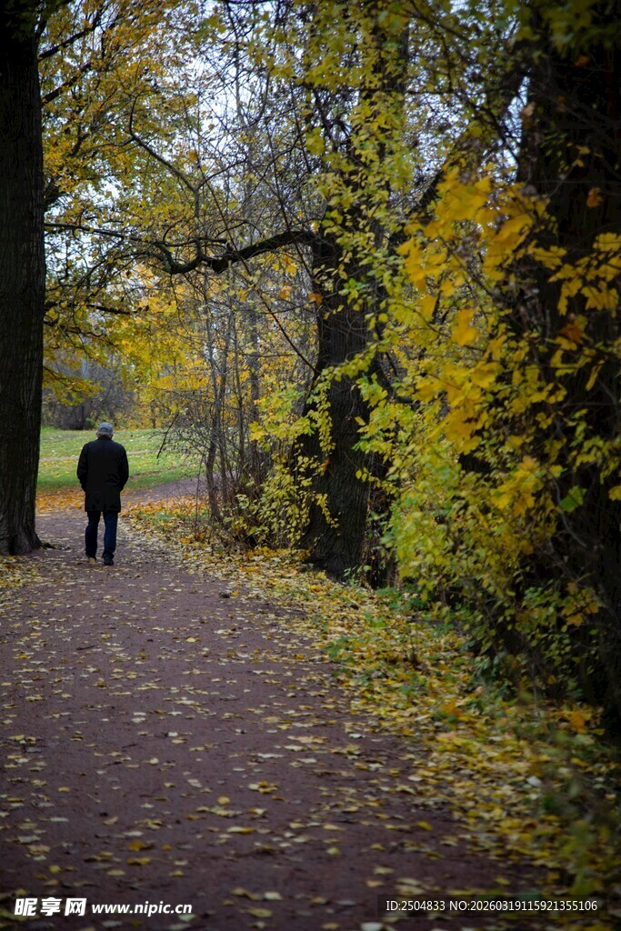秋日林荫中漫步的两人
