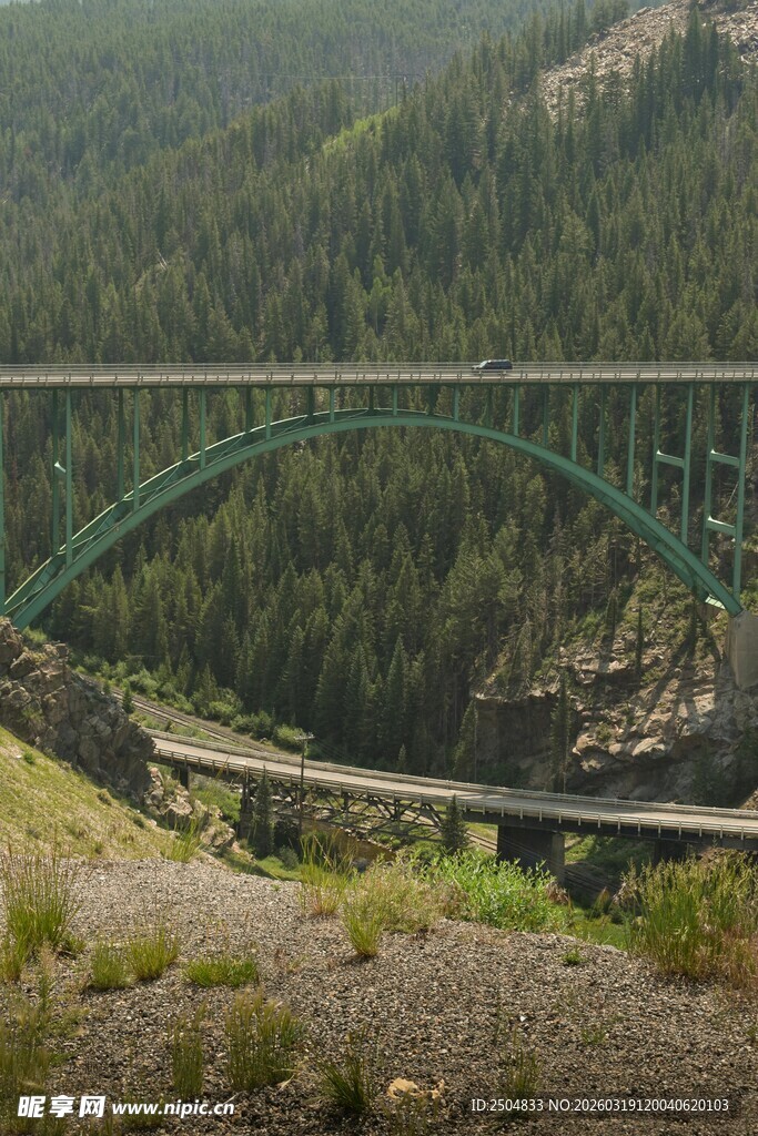 山谷上的绿色拱形桥梁