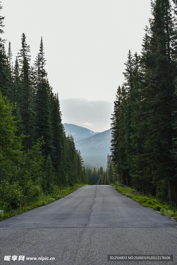 林间公路 通往自然深处