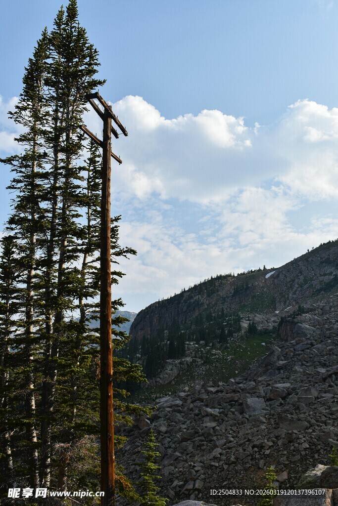 山间挺拔树木与蓝天白云
