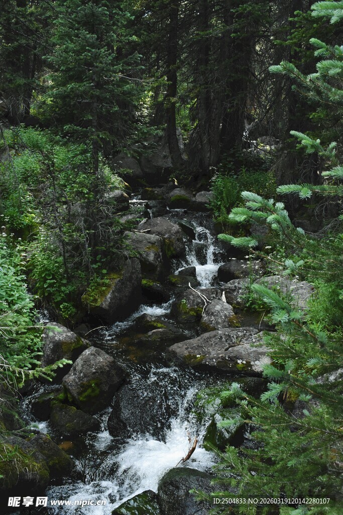 山林间潺潺溪流美景