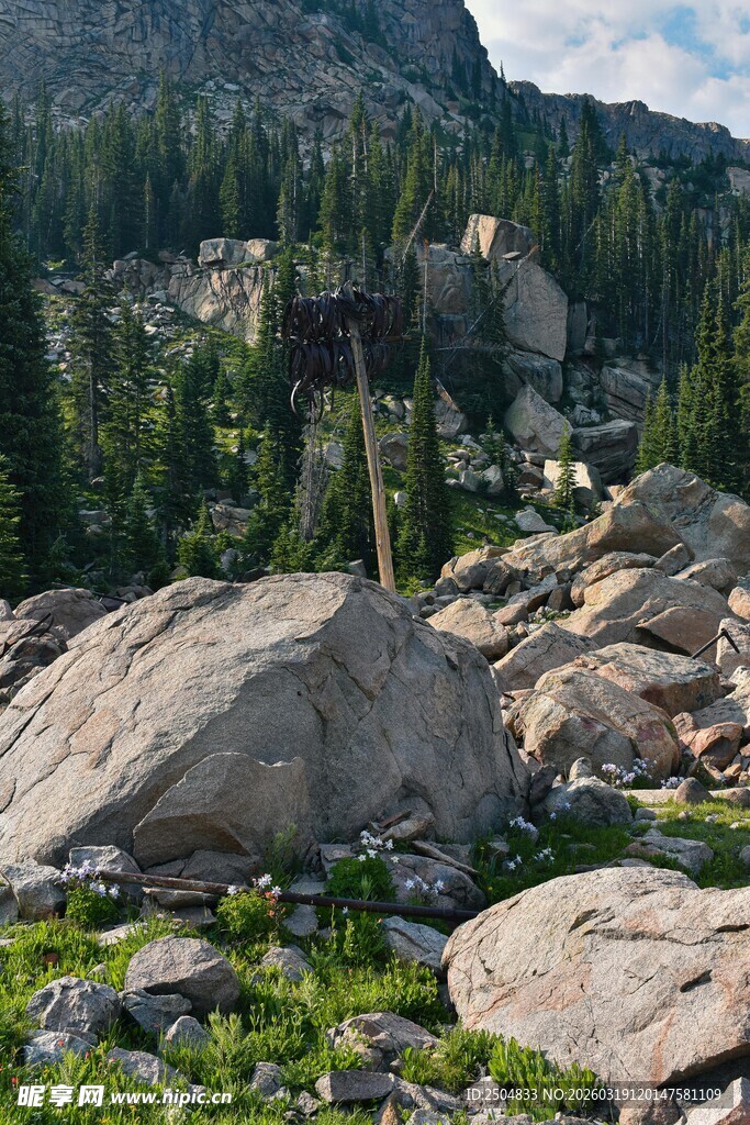 山间巨石与繁茂植被景观