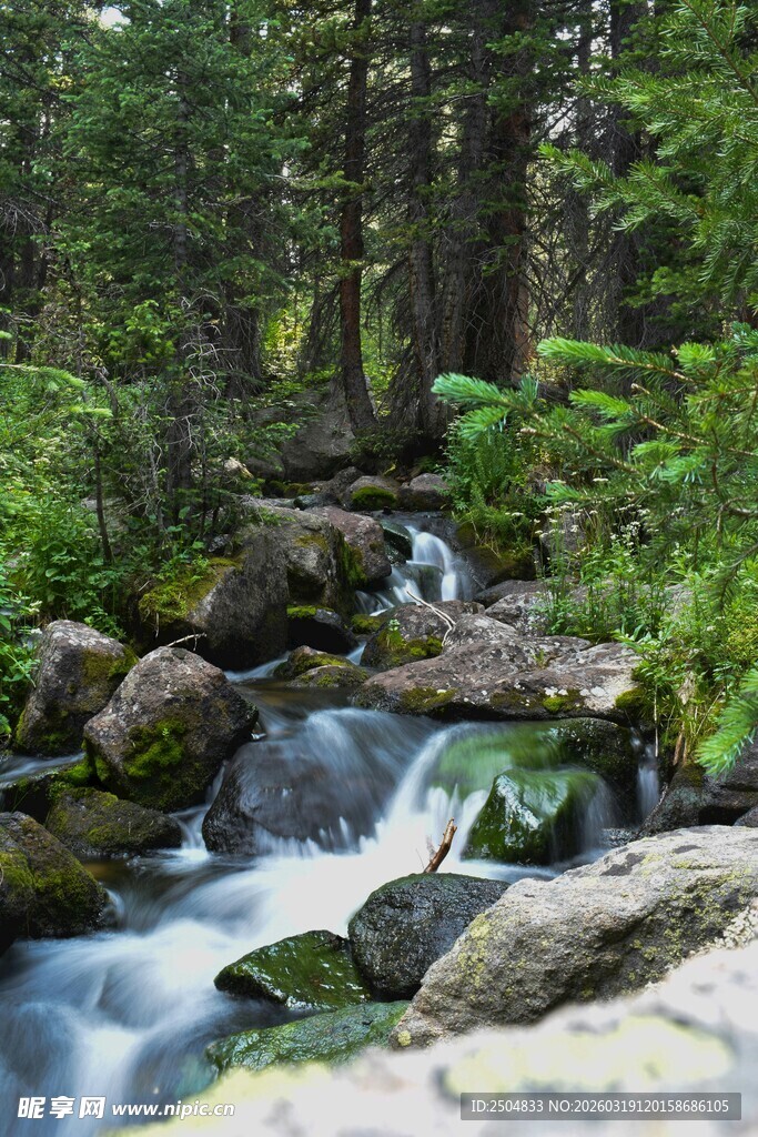 山间溪流潺潺 绿意盎然