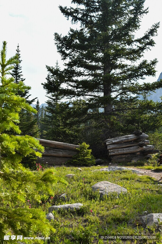 林间木屋 静谧自然之景