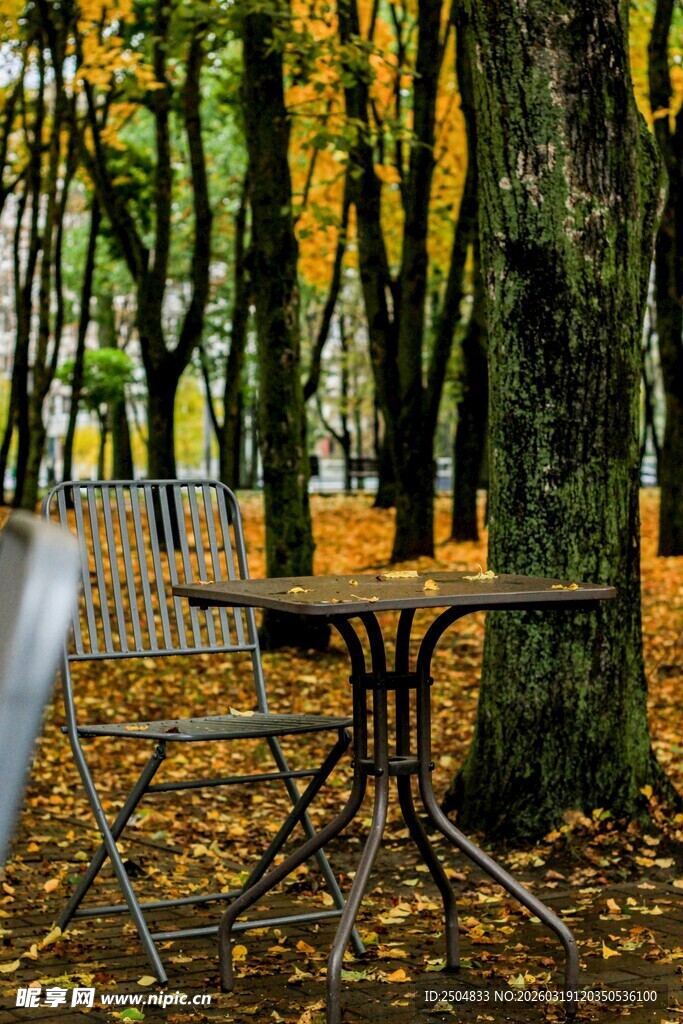 秋日林间桌椅静谧景致