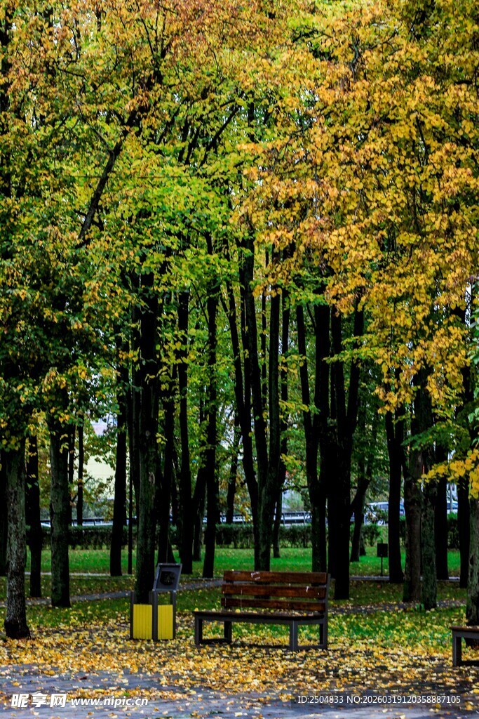 秋日公园长椅 静谧美景