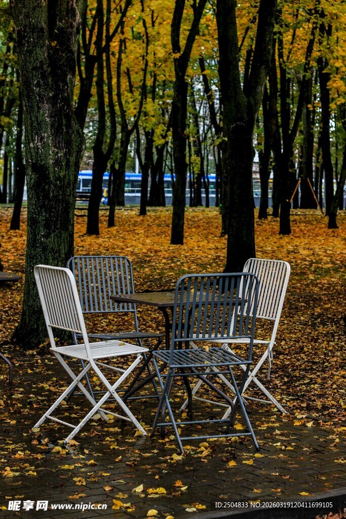 秋日林间桌椅静谧景致