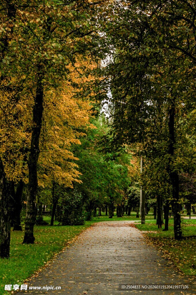 秋日林间幽静小路