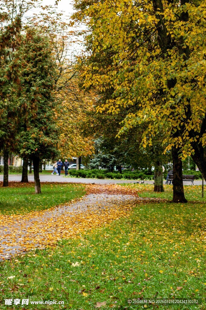 秋日公园小径美景