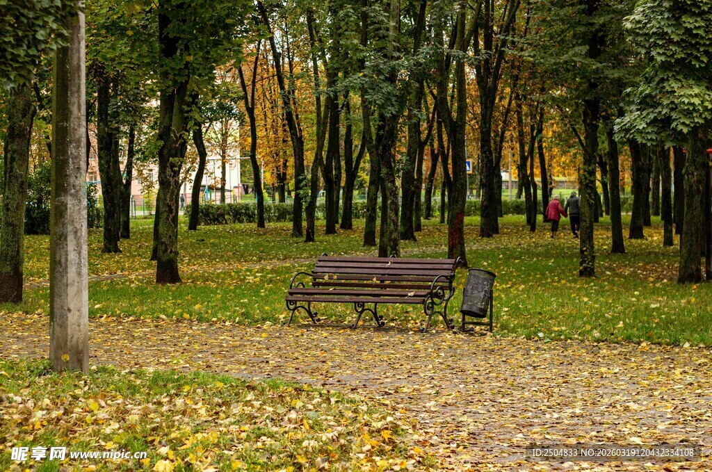 秋日林间长椅的静谧景致