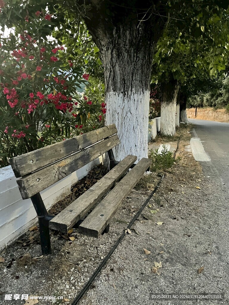 公园树下长椅 静谧景致