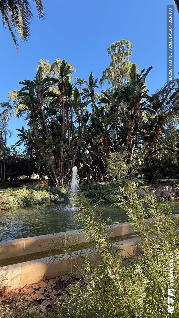 热带园林喷泉景观