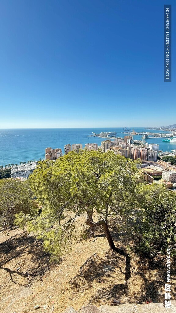 海边绿意盎然的开阔景致