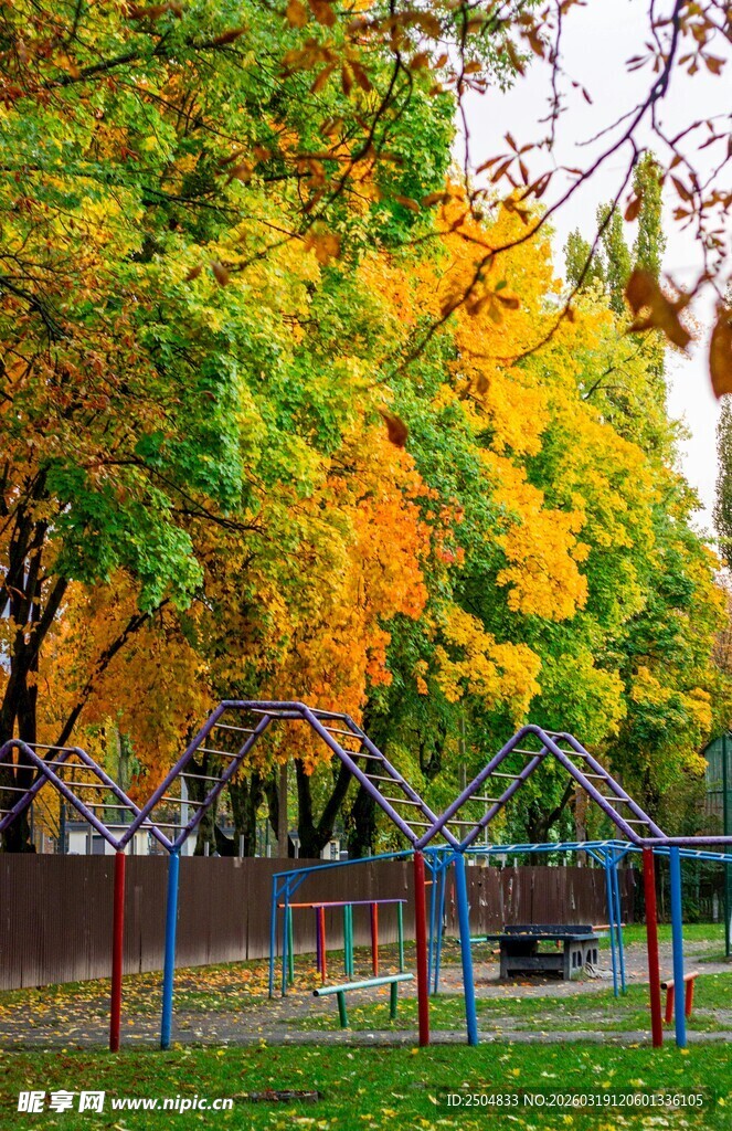 秋日公园多彩树木与设施