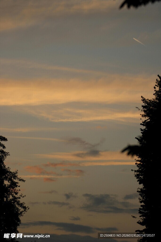 黄昏时分的树木与天空