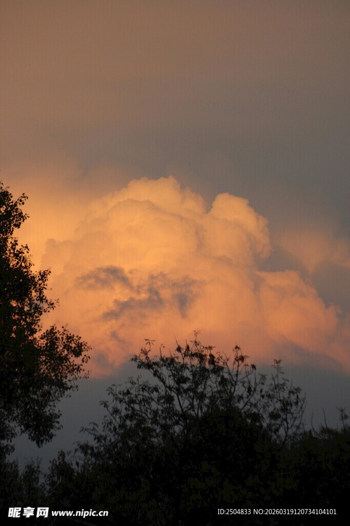 夕阳下的云霞与树木